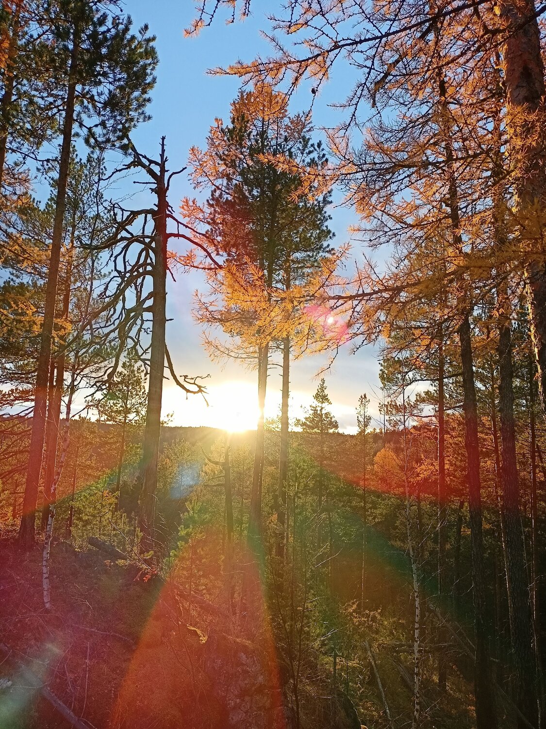 Вечернее.