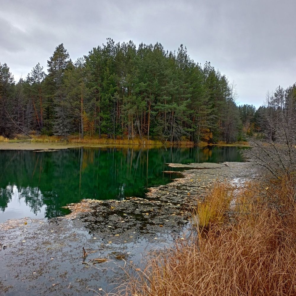 Photo #6764120