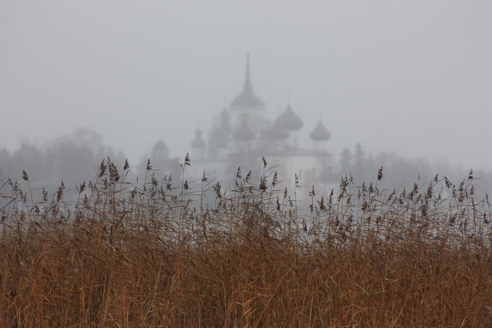 Photograph by Никита Павлов