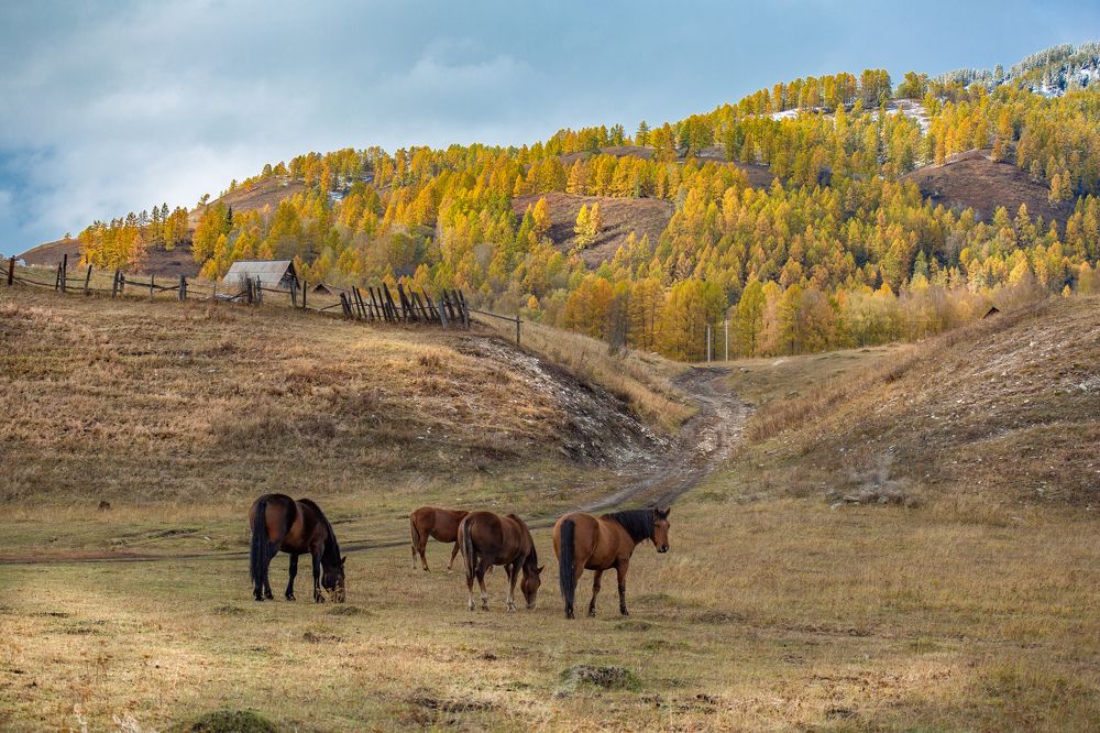 Photograph by Марина Бузина