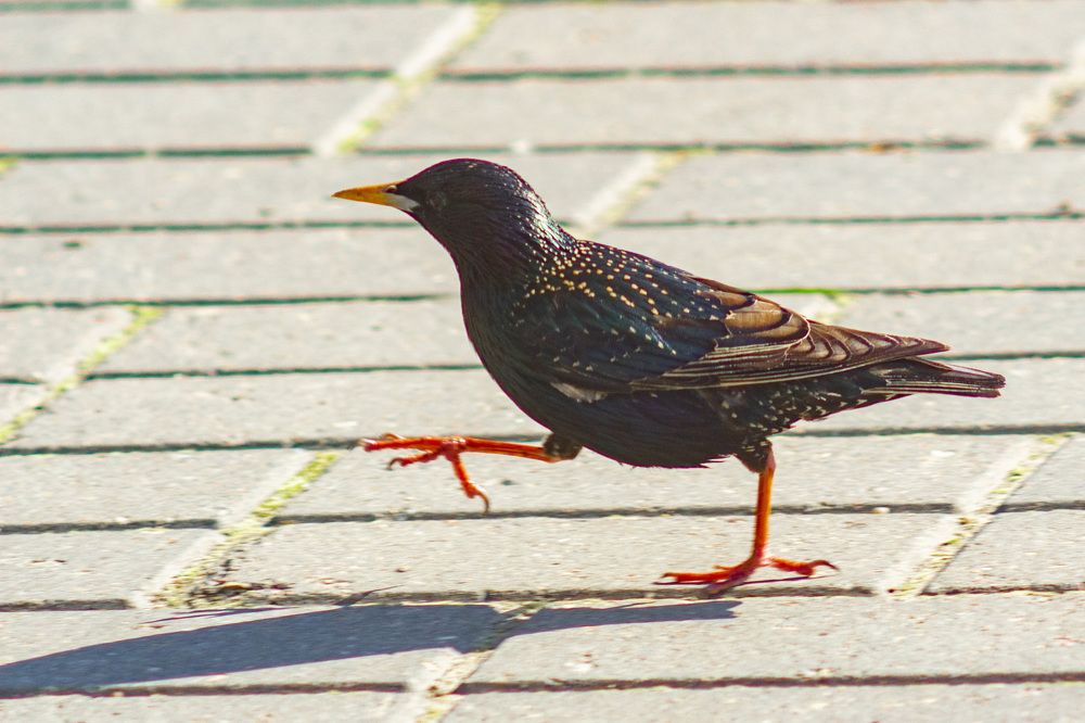 Photograph by Алексей Борисов