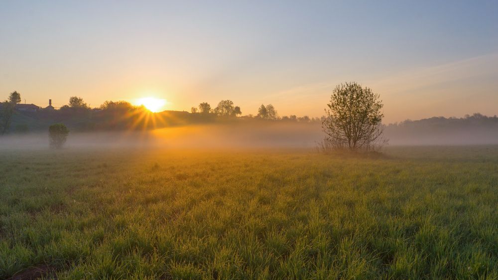 Photograph by Светлана Кондрашова