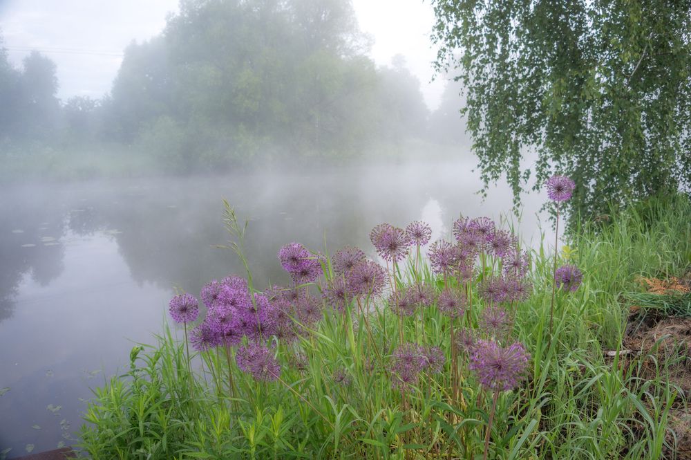 Photograph by Светлана Кондрашова