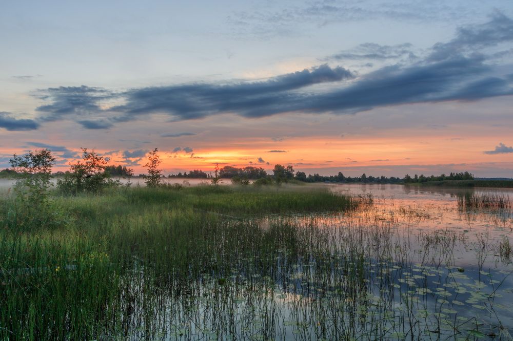 Photograph by Никита Луферов