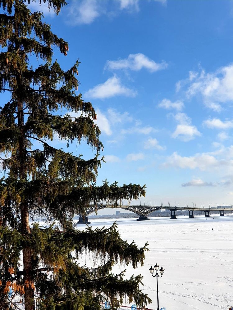 Photograph by Эльвира Куликова