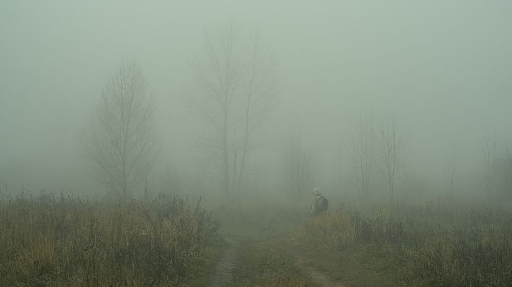 Photograph by Сергей Танков