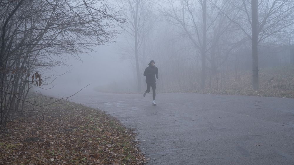 Photograph by Сергей Танков