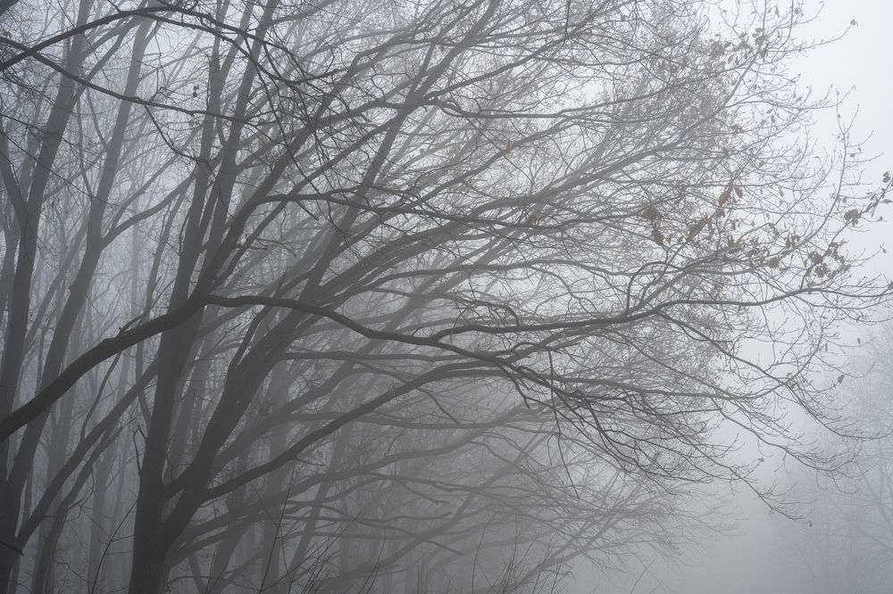 Photograph by Сергей Танков