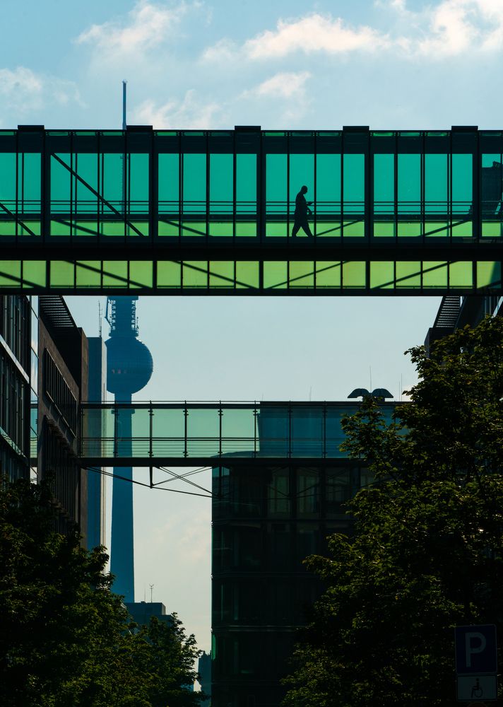 Фотография автора David Vargas