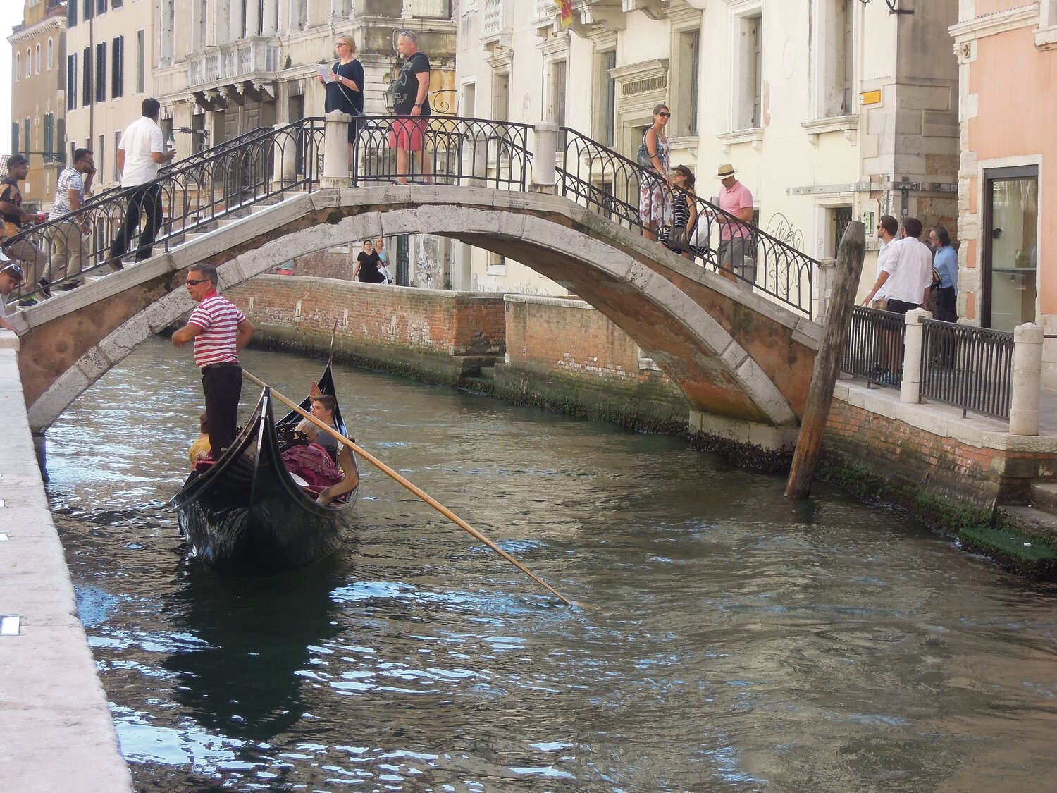Photo #6764365