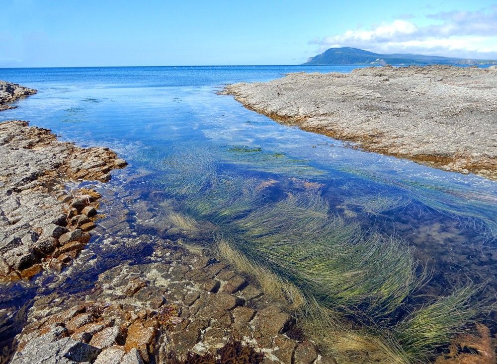 Photograph by София Гавриловна Вотякова