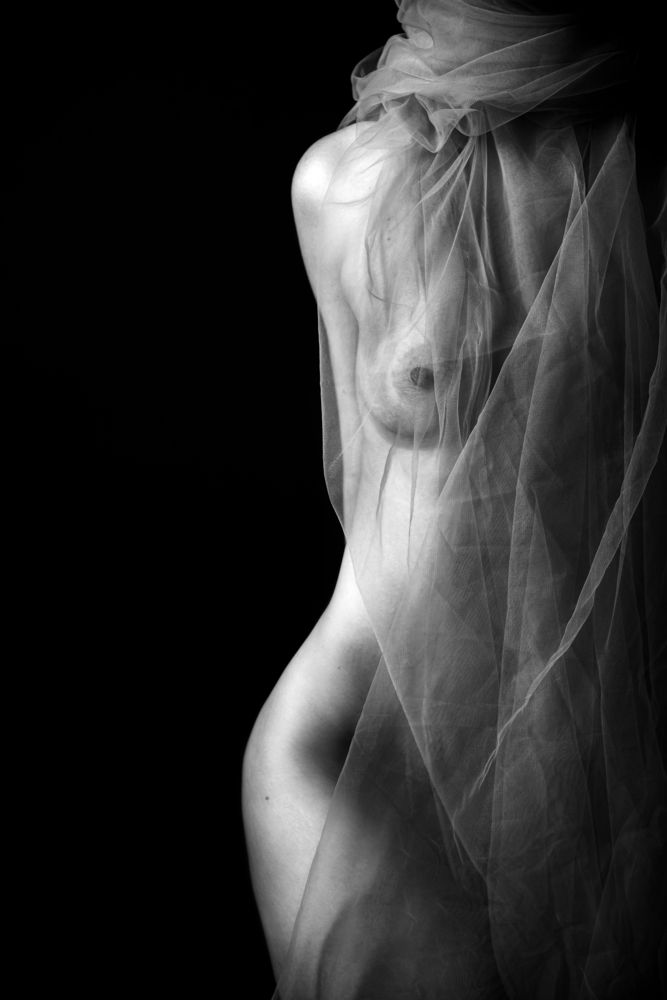 Photograph by Светлана Тимошенина