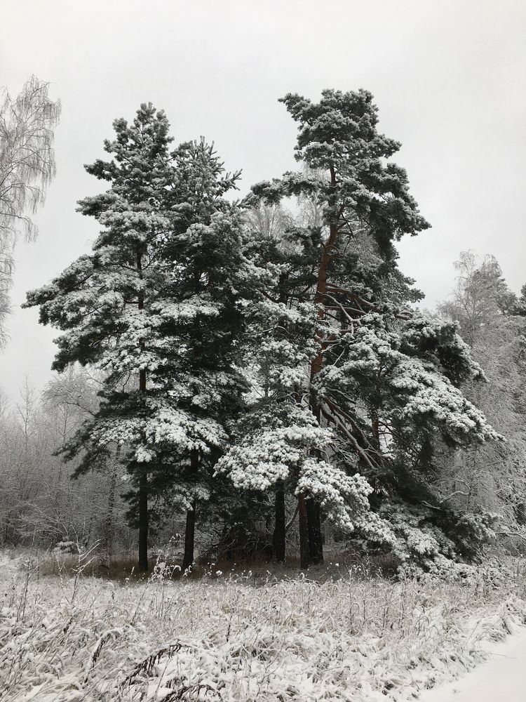 Photograph by Татьяна Ионова