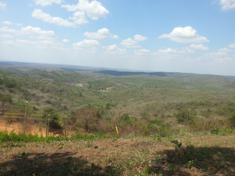 Photo #6764458
