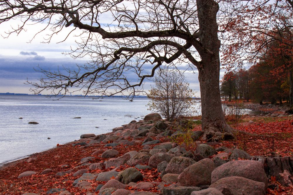 Photograph by Андрей Хлюстов