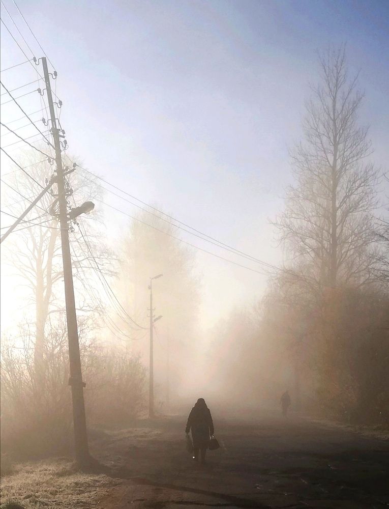 Photograph by Михаил Соколов