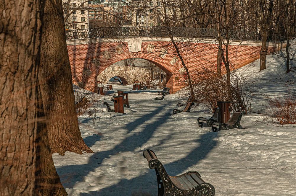 Photograph by Vladimir  Komarov