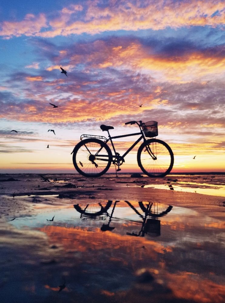 Photograph by Daniil