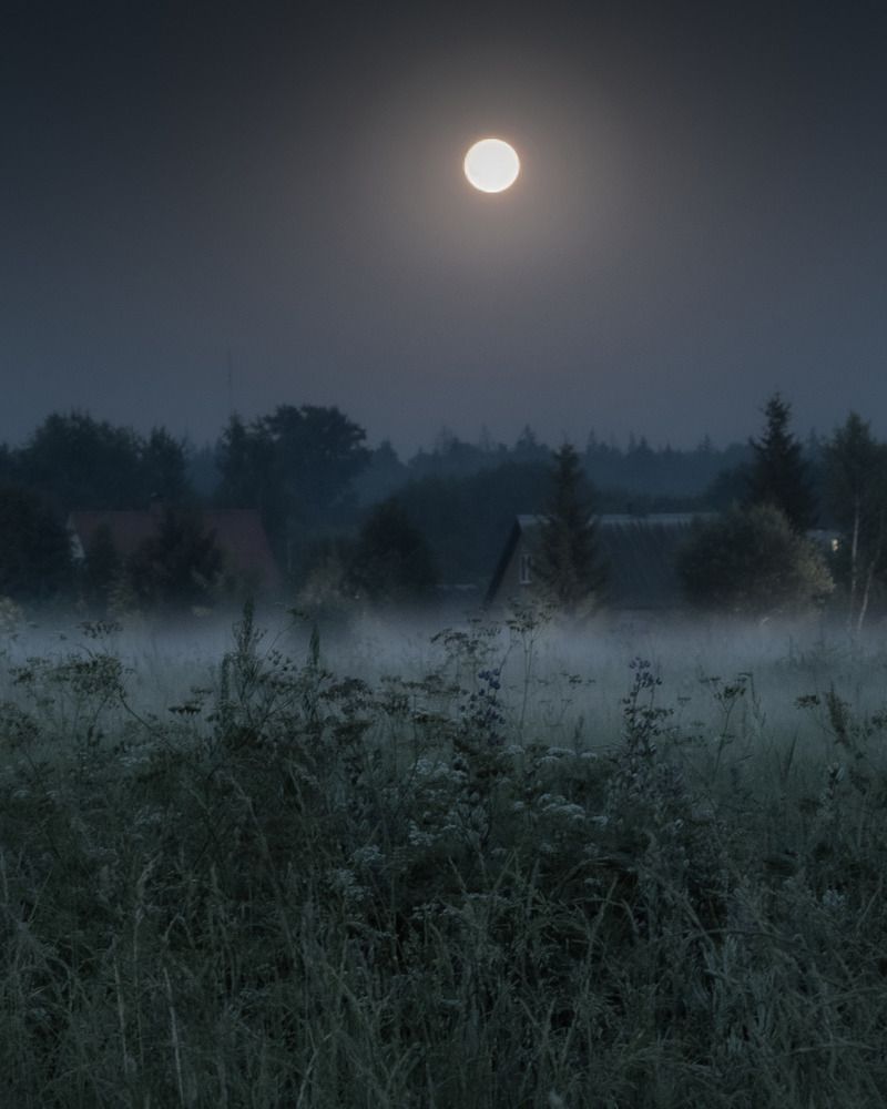 Фотография автора Ирина Назарова