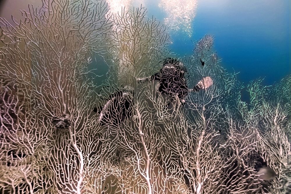 Фотография автора Банген Лиля