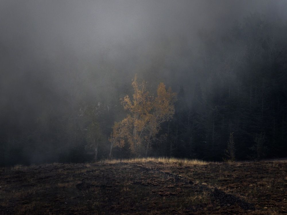 Photograph by Jad Kassem