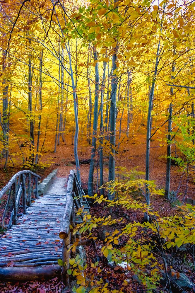 Photograph by Ali Kamil Seren