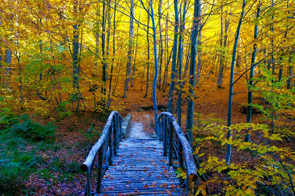 Photograph by Ali Kamil Seren