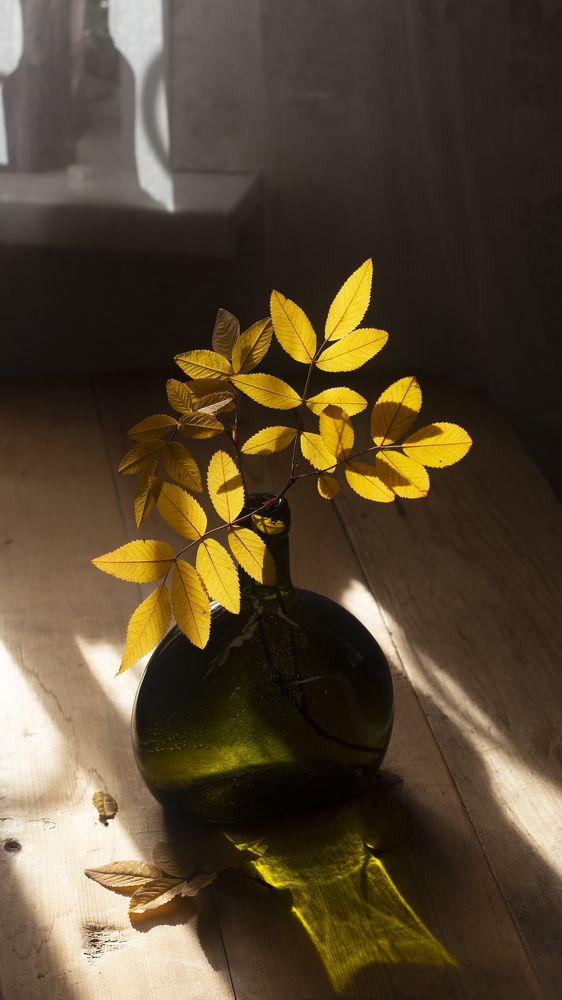 Теплая осень