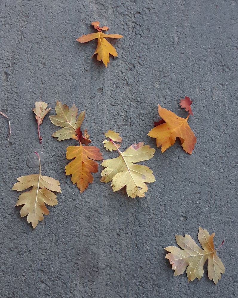 Photograph by Людмила