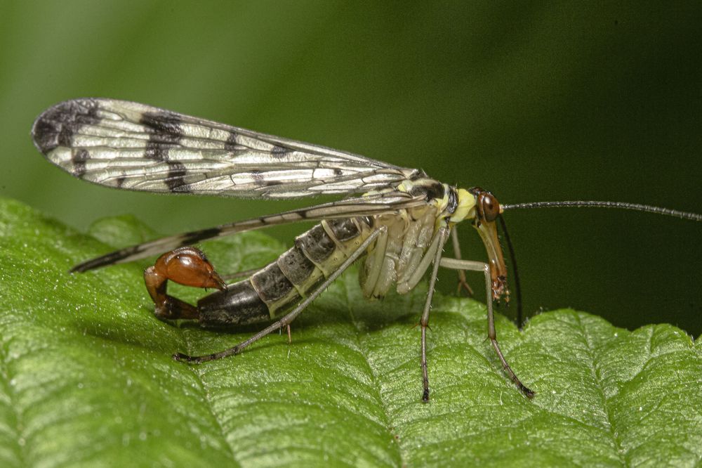 Фотография автора Марина Кулакова