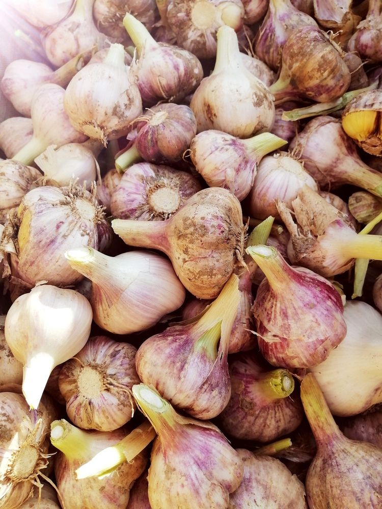 Photograph by Svetlana