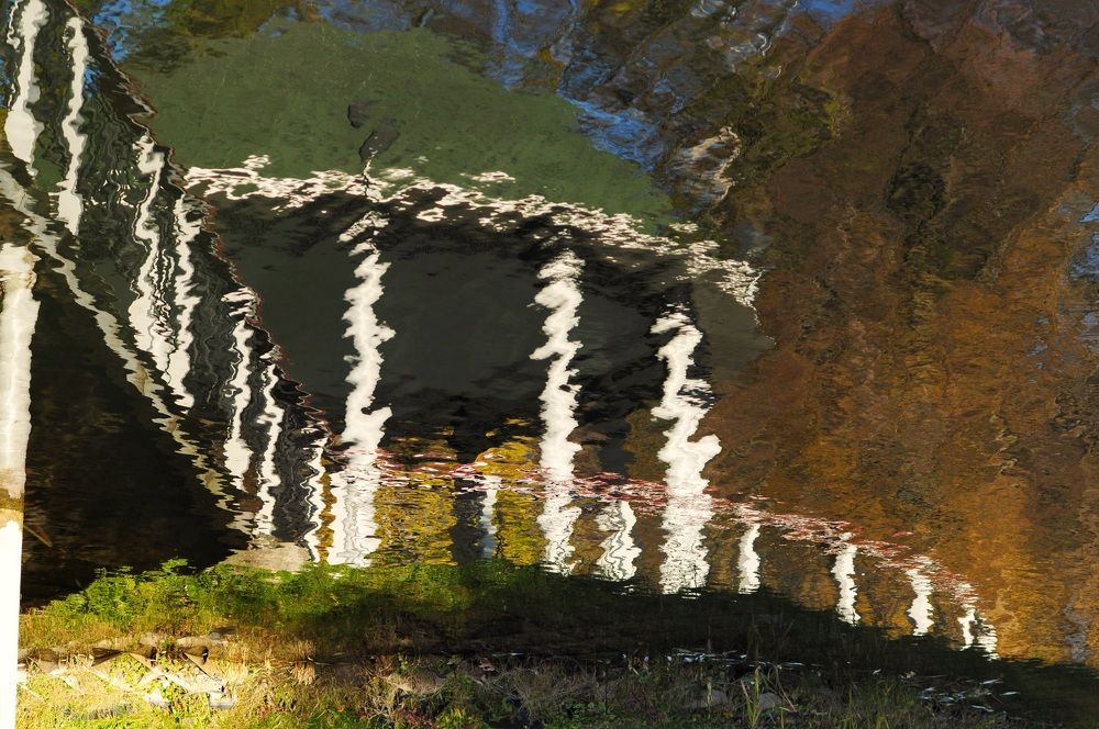 Photograph by Ольга Кудина