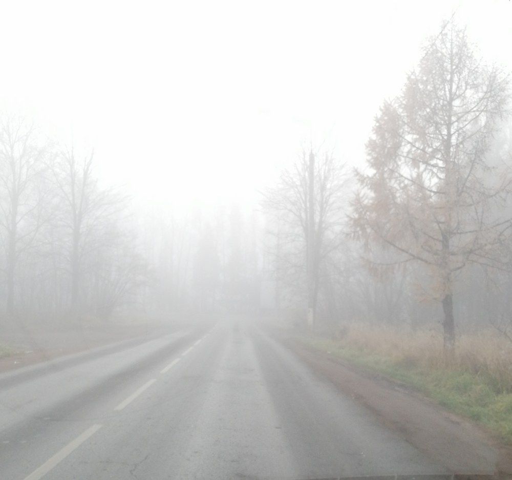 Photograph by Svetlana