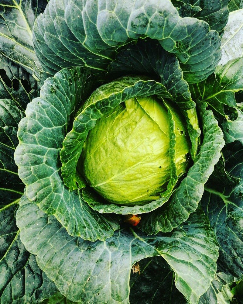 Photograph by Svetlana