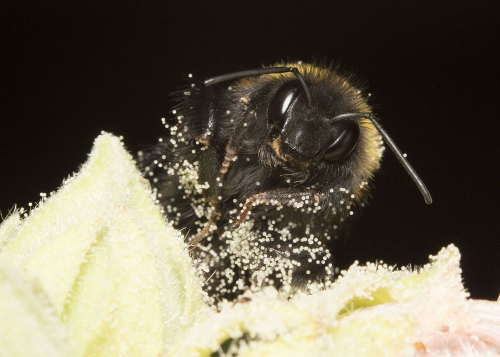 На снежной трассе