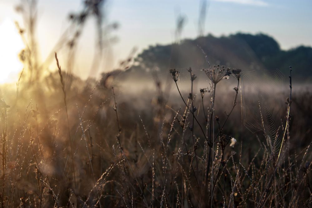 Photograph by Владимир Бузов
