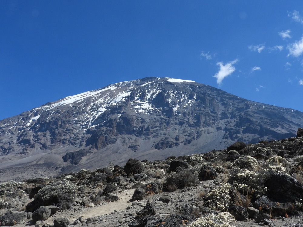 Photograph by Марина Осипова