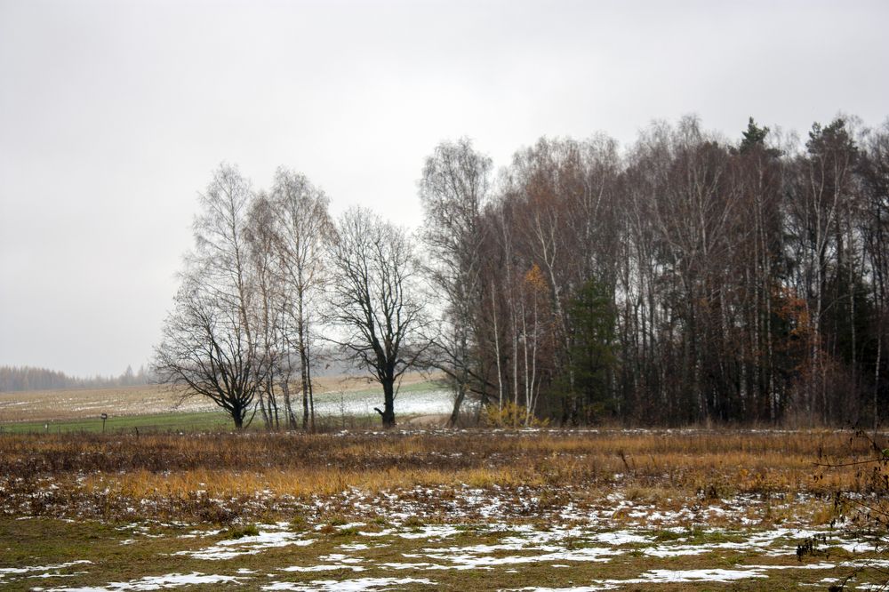 Photograph by Владимир Бузов