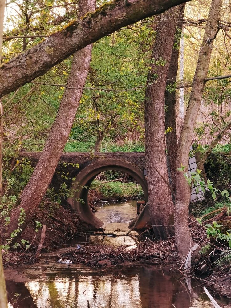 Photograph by Ольга