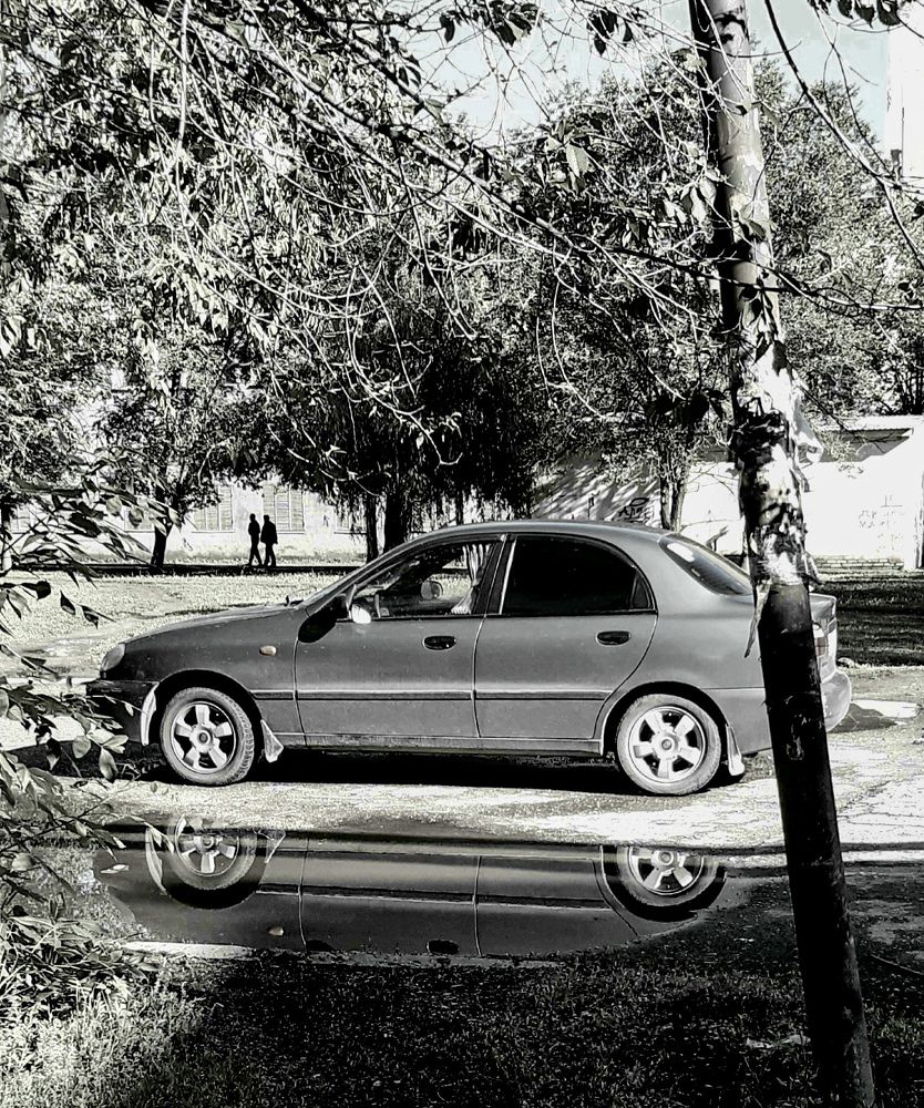 Photograph by Людмила