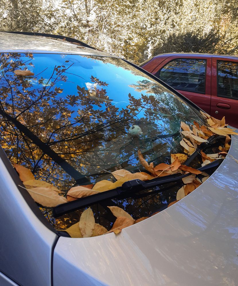 Photograph by Людмила