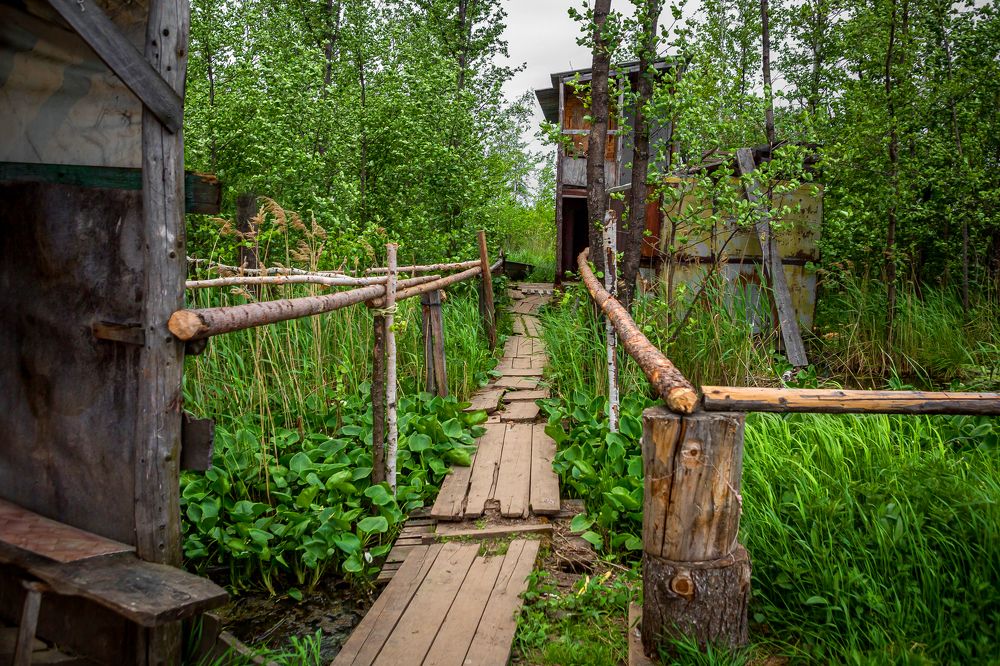 Фотография автора Михаил Бове