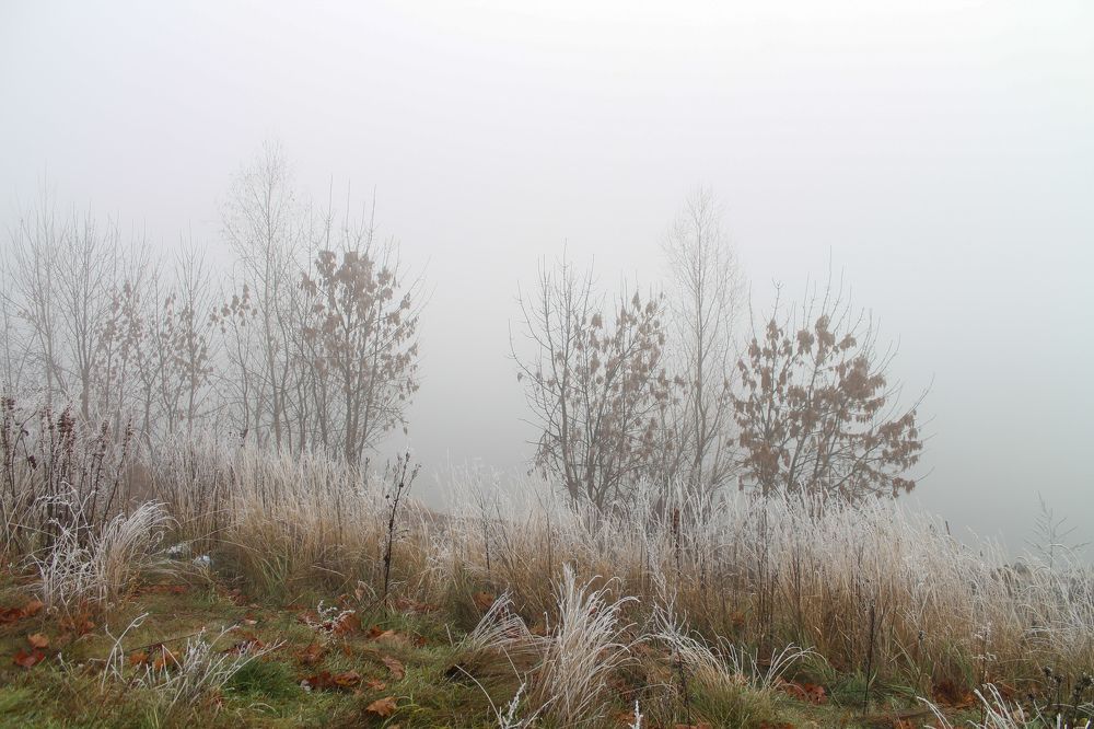 Photograph by Оксана Хабарова