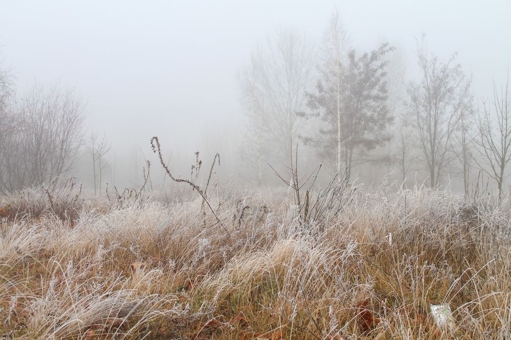 Photograph by Оксана Хабарова