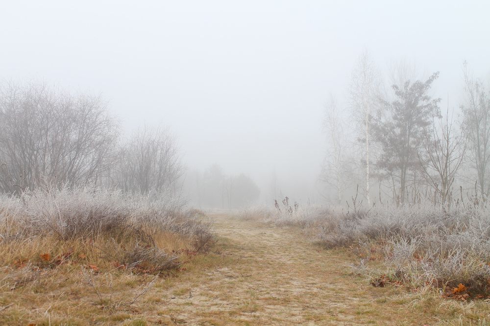 Photograph by Оксана Хабарова