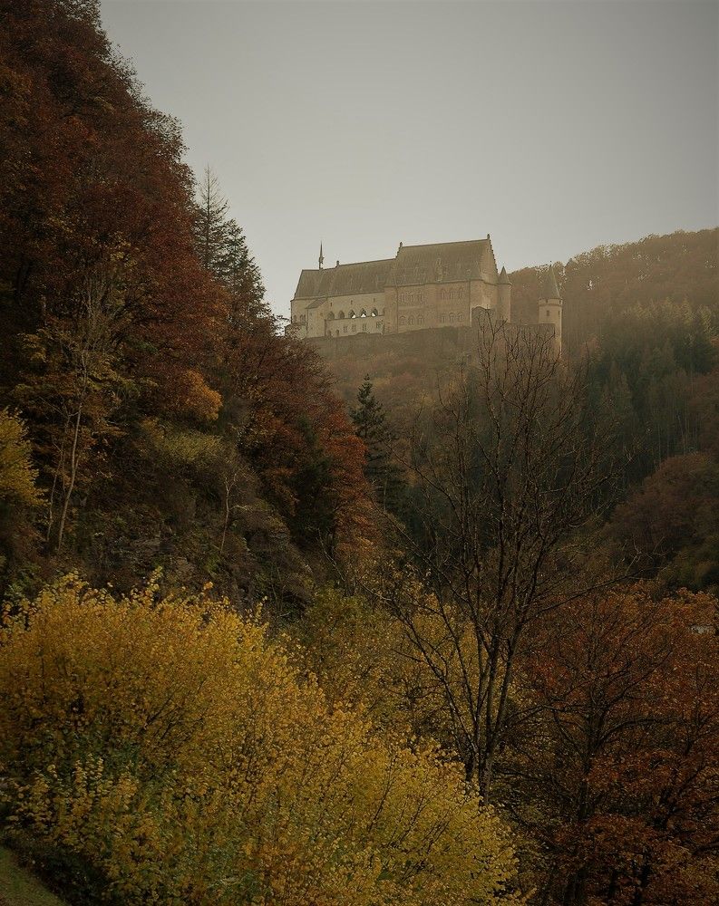 Photo #6765090