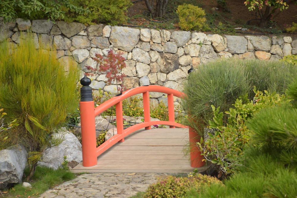 Photograph by Наталья Хаптева