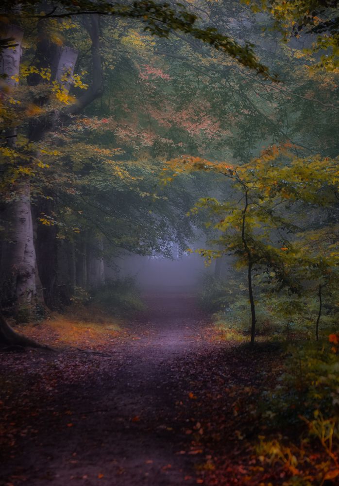 Фотография автора Leompescu Emanuel