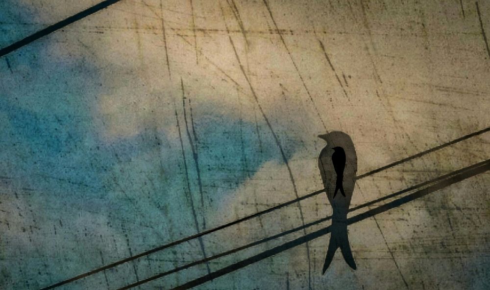 The imcorporeal immortal soul