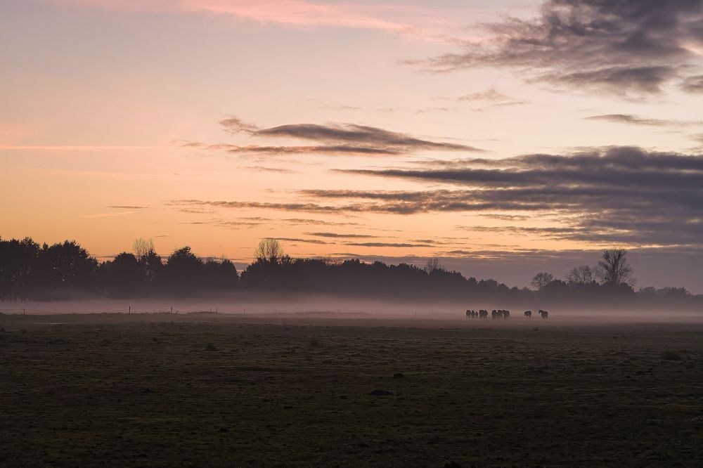 Photograph by Wendy Vanhoudt